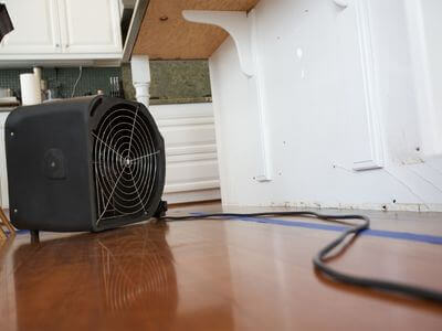 Professional mold removal services in Pompano Beach